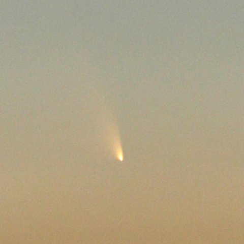 パンスターズ彗星