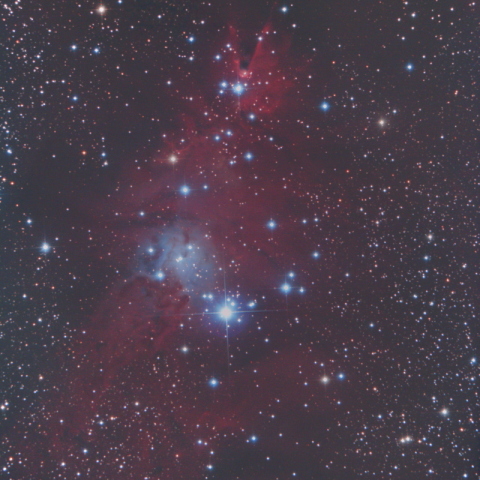 コーン星雲とクリスマスツリー星団