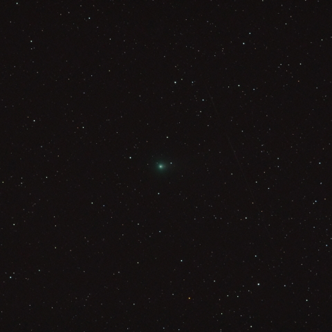 ラブジョイ彗星