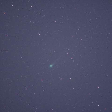 ラブジョイ彗星