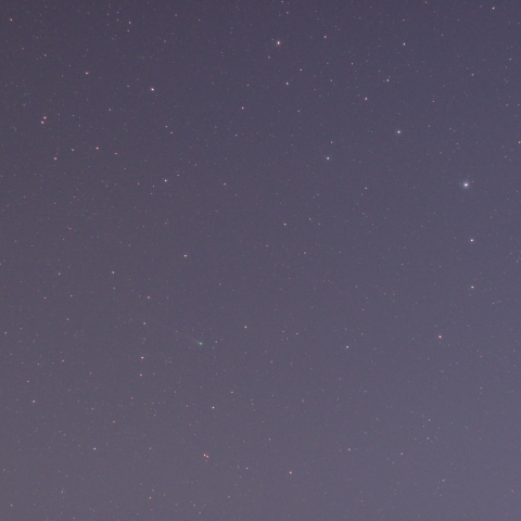 ラブジョイ彗星