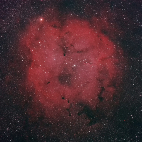 IC1396 (Sh2-131)
