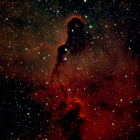 象の鼻星雲（vdB142)