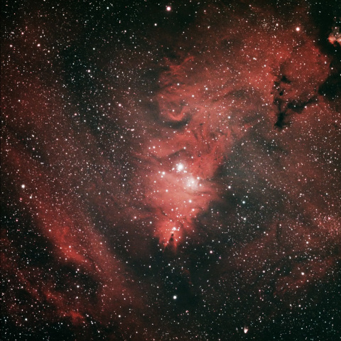 NGC2264 クリスマスツリー星団