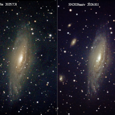 NGC7331の超新星