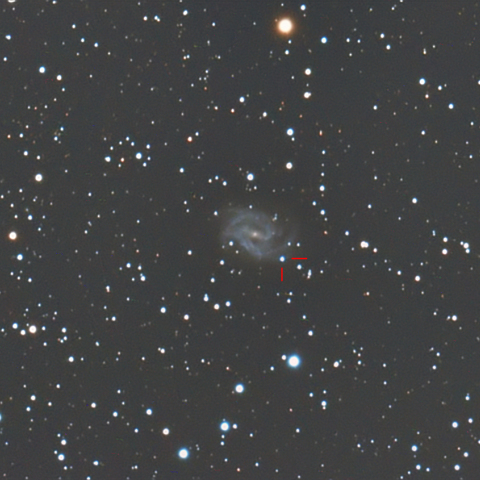 星空2525  特集 2018年1～2月 NGC 2525の超新星2018gv - 天体写真ギャラリー