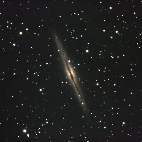 NGC891