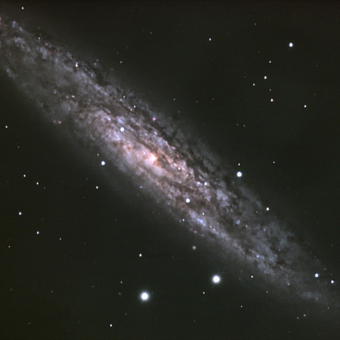 NGC253