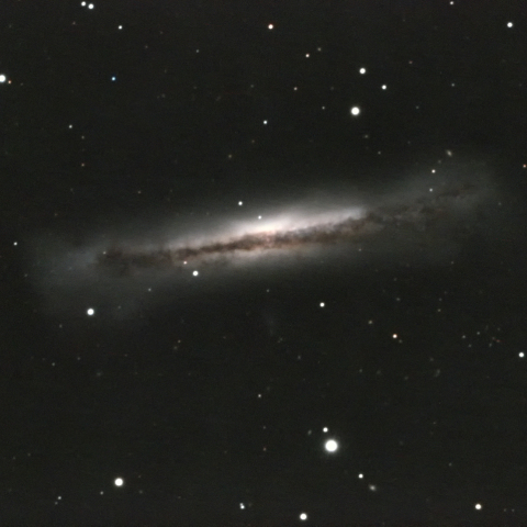 NGC3628
