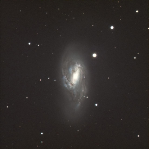 M66