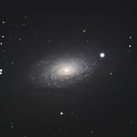M63