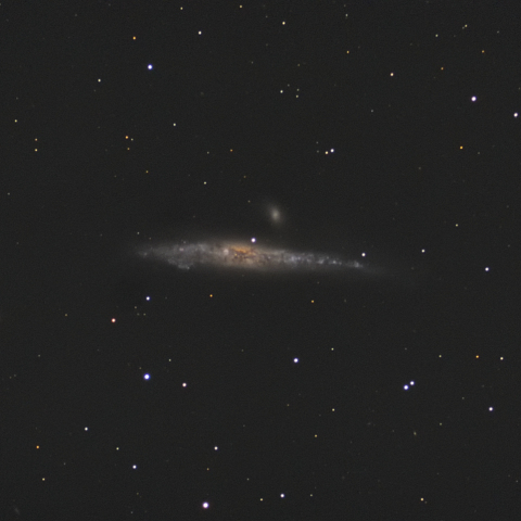 NGC4631