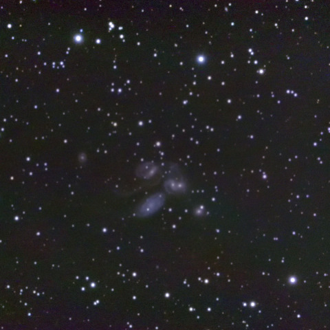 ステファンの五つ子