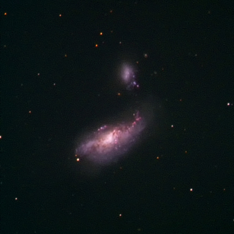NGC4490 まゆ銀河