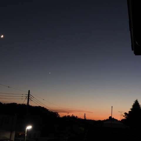 西方角の低い位置に金星が見えました…