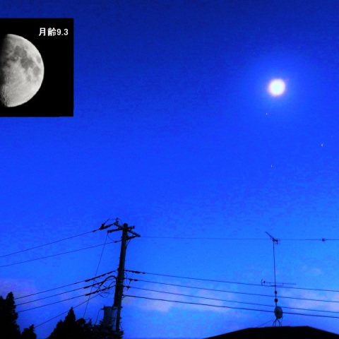 月・火星・土星・アンタレスが集合