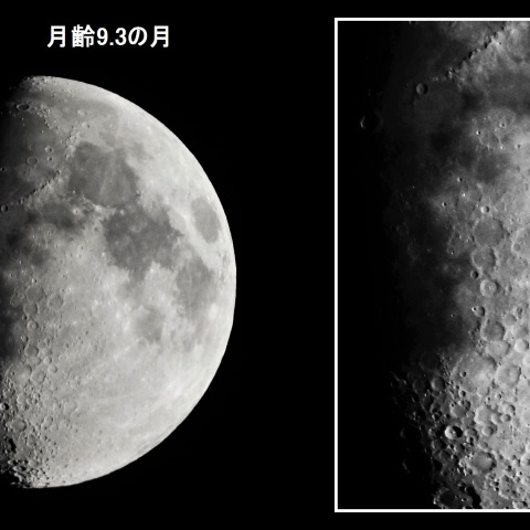 月齢9.3