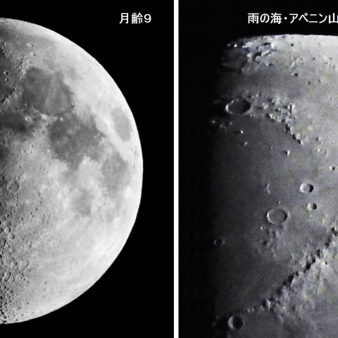 月齢9の月