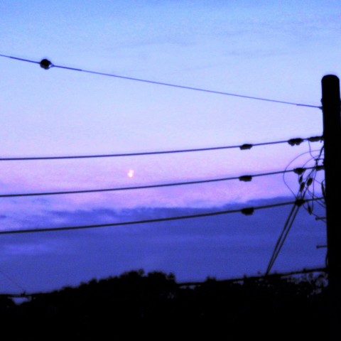 夕焼けの中の金星（その2）