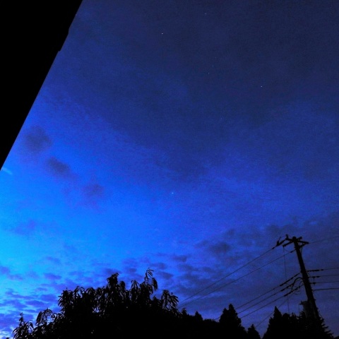 夜明け前のオリオン座