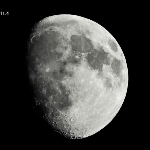 月齢11.4