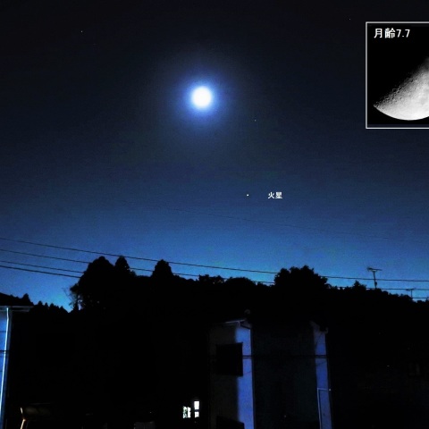 11月7日の月（月齢7.7）と火星
