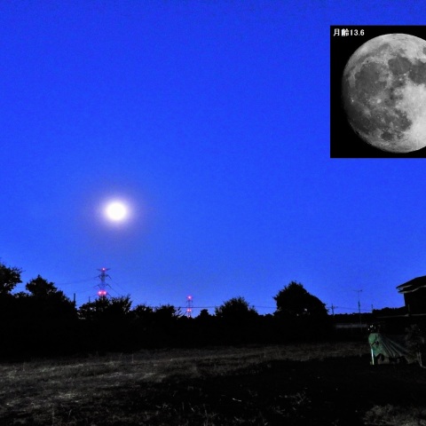 68年ぶりのスーパームーン前夜の月です!!