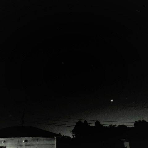 きらきらと輝く金星