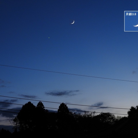 南西の空で月と金星が並ぶ!! ― (1)