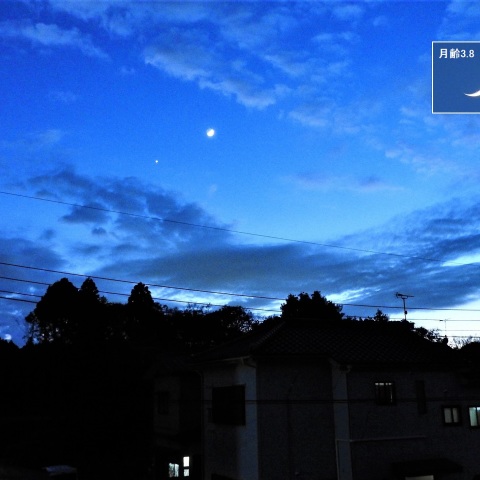 南西の空で月と金星が並ぶ!! ― (2)