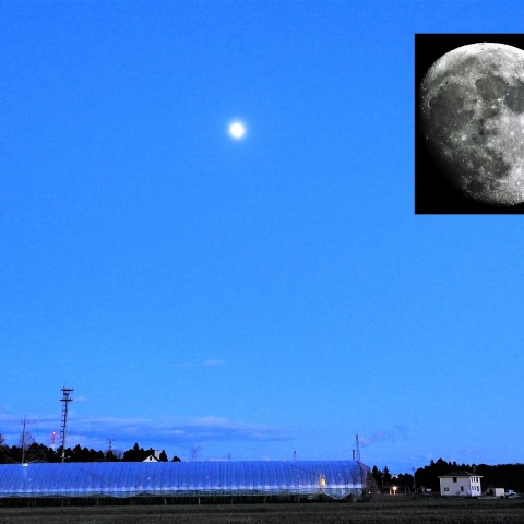 冬の風物詩と月