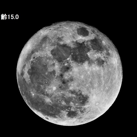 12月14日の満月（月齢15.0）