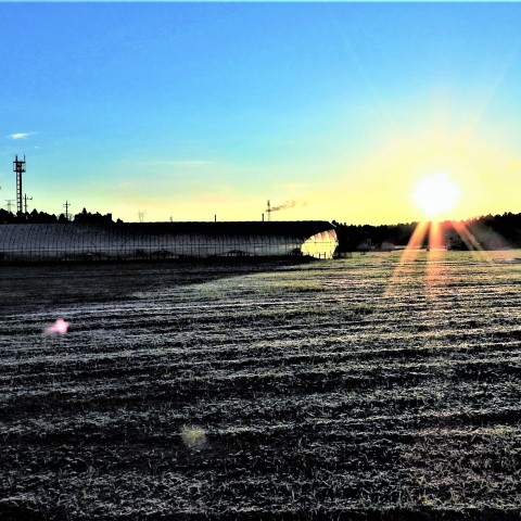 わが町の初日の出-2