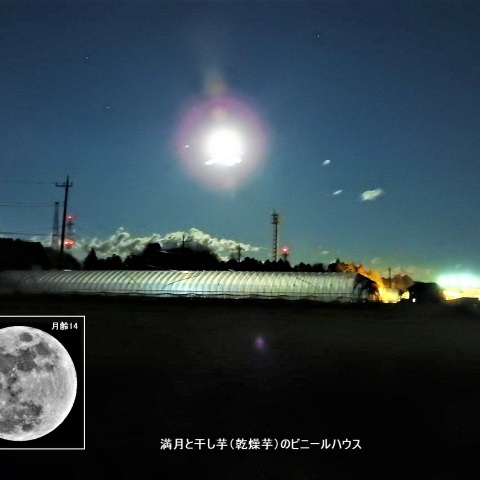 満月（月齢14）－1