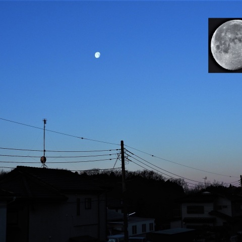 月（月齢16.9）の入り