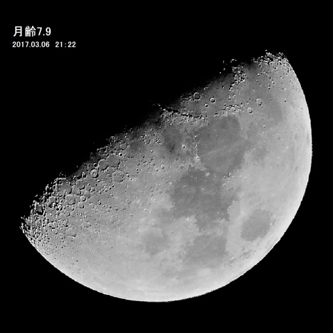 月齢7.9の月