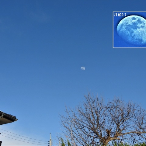昼間の月（月齢9.7）－1