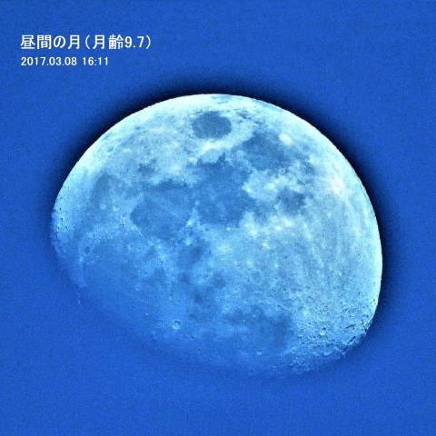 昼間の月（月齢9.7）－2