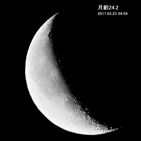 月齢24.2の月