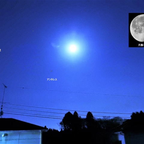 夜明け前の月と土星・アンタレス