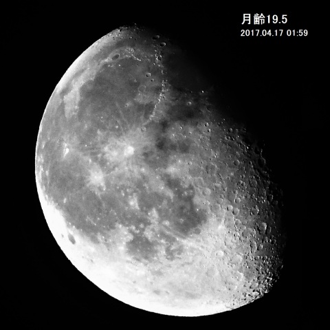 月齢19.5の月