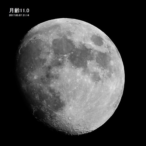 月齢11.0の月