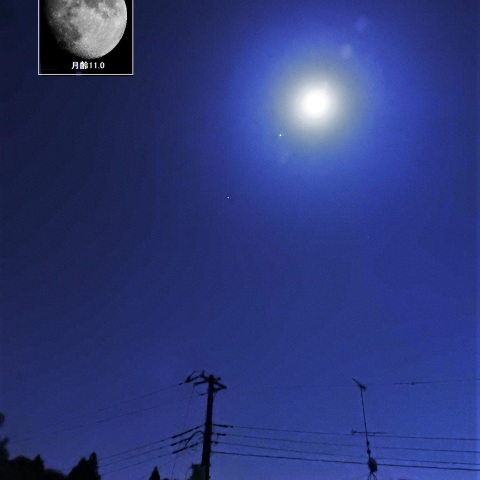 月と木星が接近-1