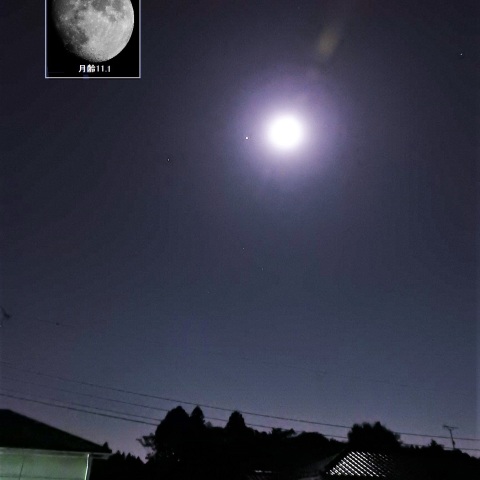 月と木星が接近-2