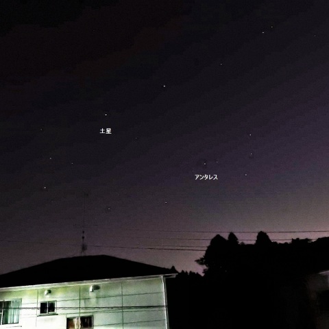 土星とアンタレス