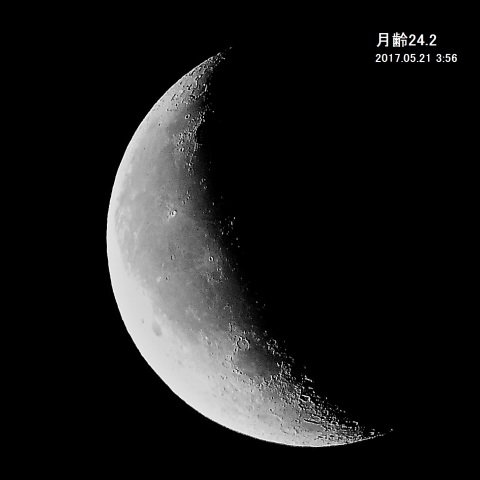 夜明け前の月