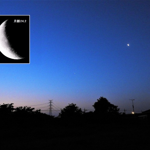 夜明け前の月と金星