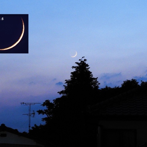 線で描いたような細い月