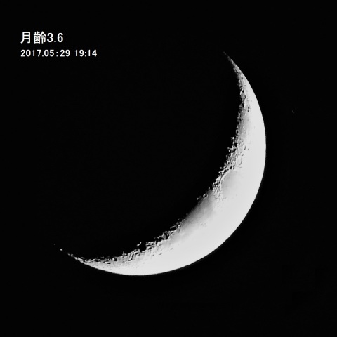 月齢3.6の月