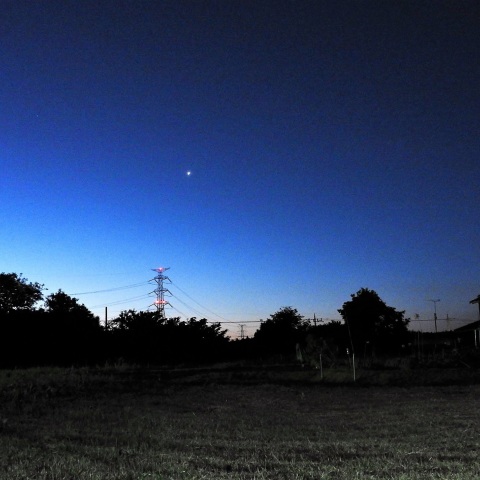 金星が西方最大離角
